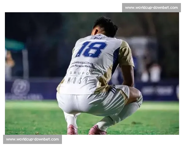 “回家”的呼唤，留洋球员能否点亮中超