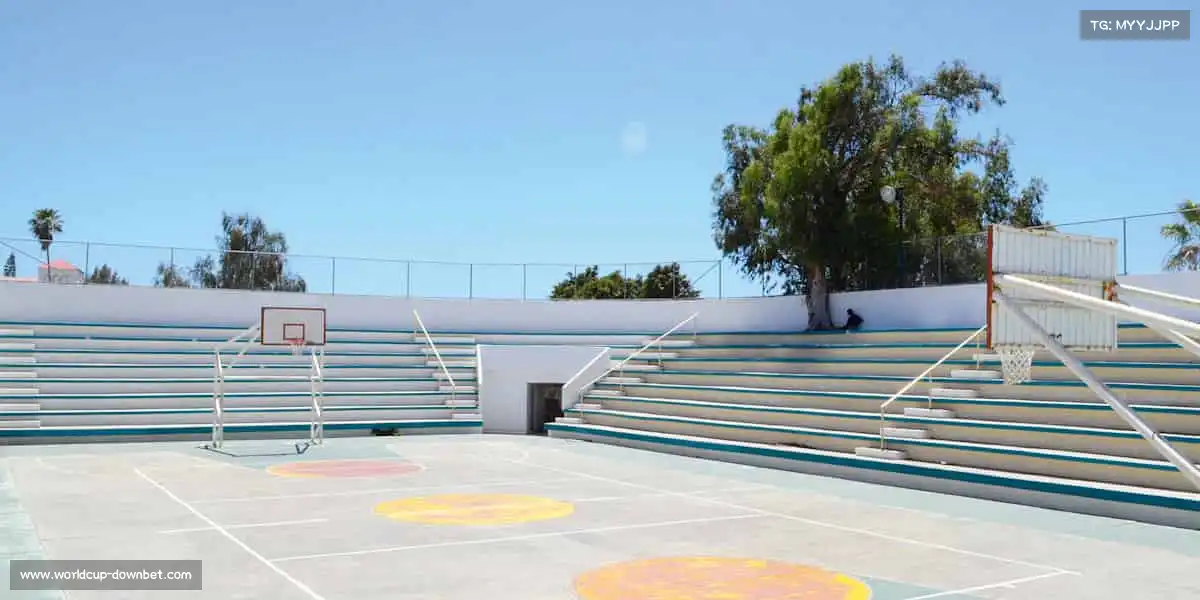 我们的品牌价值